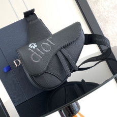 Christian Dior Saddle Bags